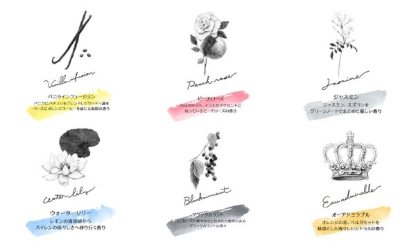 画像5: 【GRASSE TOKYO福袋2026】バスソルトセット 福袋 (5)