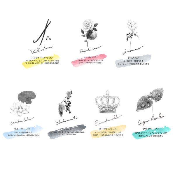 画像8: 【GRASSE TOKYO福袋2026】もりもりセット *香りランダム* (8)